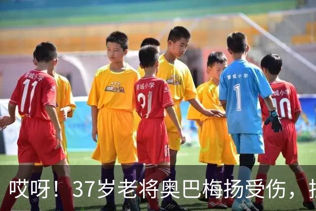 哎呀！37岁老将奥巴梅扬受伤，拉科鲁尼亚咋办？